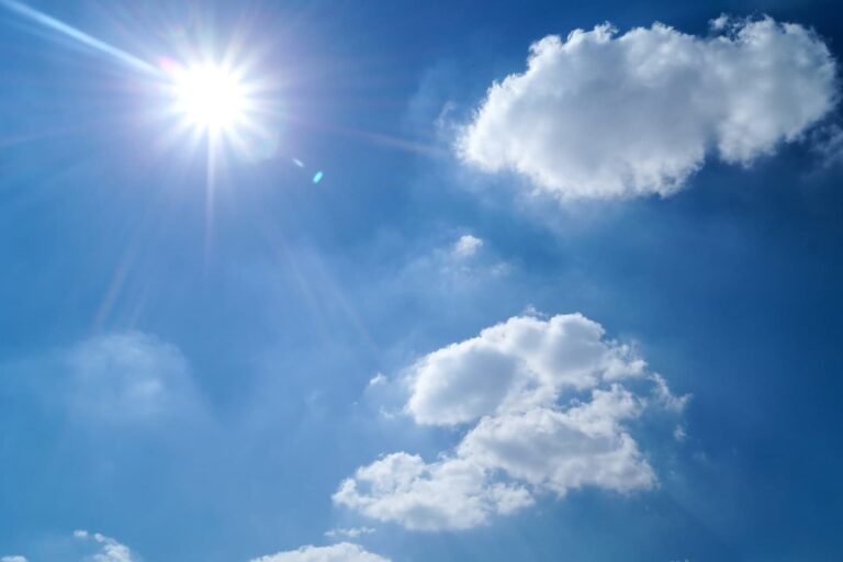 Vitamina D