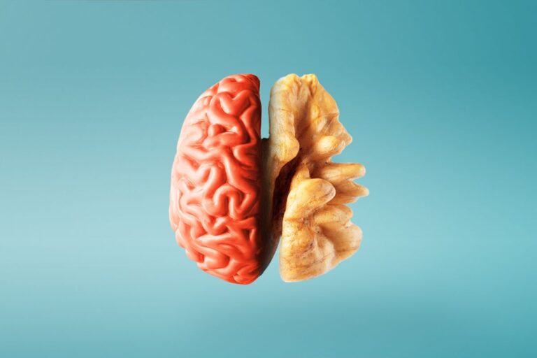 12 cibi che fanno bene al cervello e alla memoria