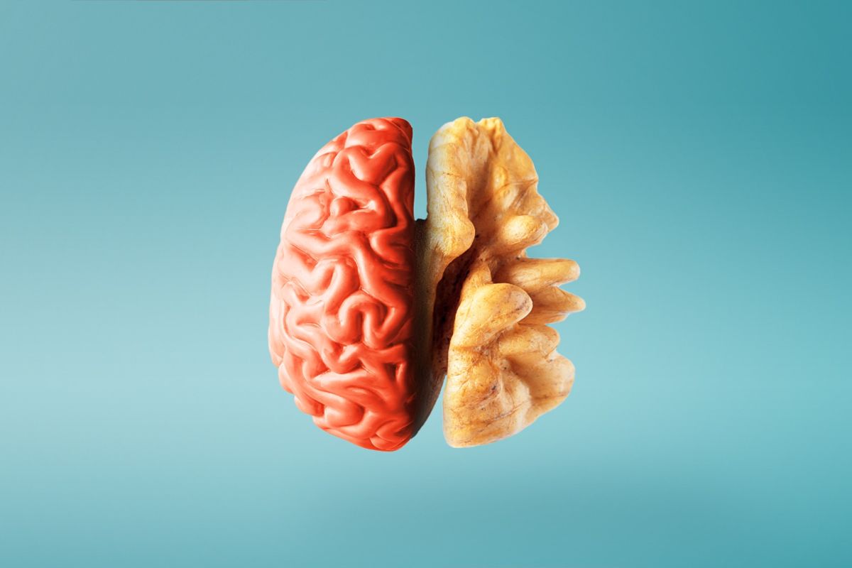12 cibi che fanno bene al cervello e alla memoria