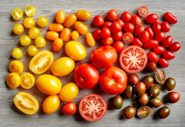 pomodoro frutta o verdura?