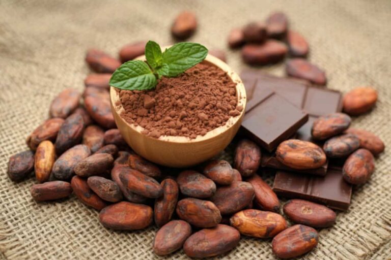 Semi di cacao e cioccolato - Cioccolato fondente benefici