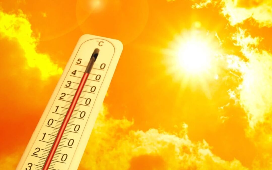 Cosa mangiare con il caldo a dieta: guida completa