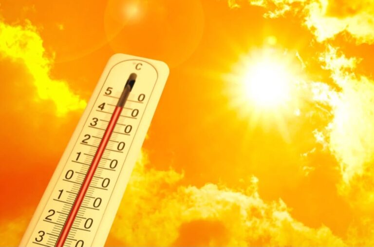 Cosa mangiare con il caldo a dieta: guida completa